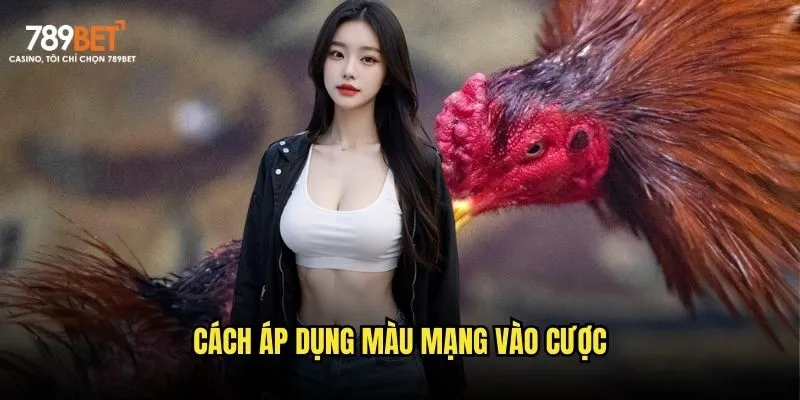 Cách áp dụng màu mạng vào cược Cách áp dụng màu mạng vào cược