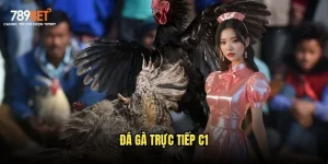 Đá gà trực tiếp C1