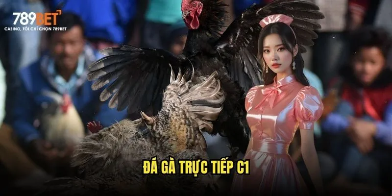 Đá gà trực tiếp C1