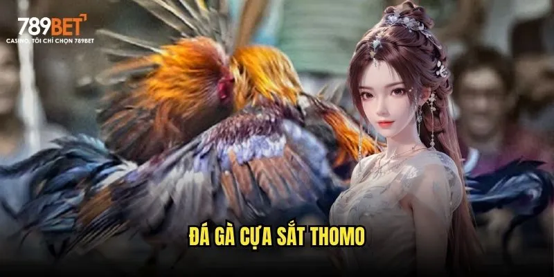 Đá gà cựa sắt Thomo