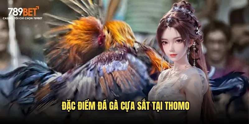Đặc điểm đá gà cựa sắt tại Thomo Đặc điểm đá gà cựa sắt tại Thomo