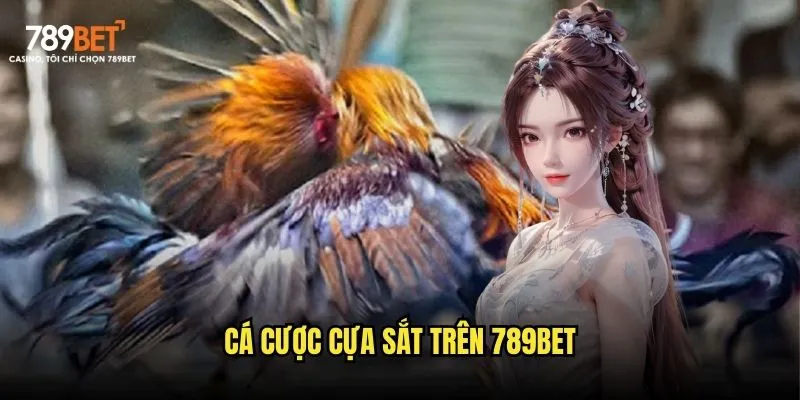 Cá cược cựa sắt trên 789bet Cá cược cựa sắt trên 789bet