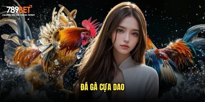 Đá gà cựa dao