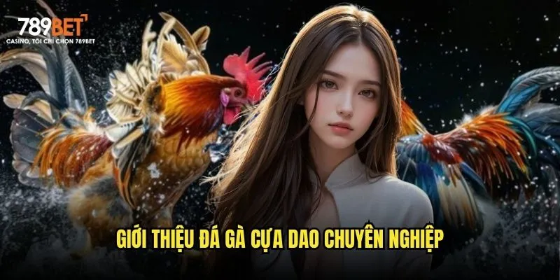 Giới thiệu đá gà cựa dao chuyên nghiệp