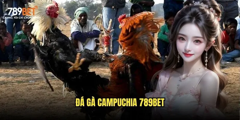 Đá gà Campuchia 789bet
