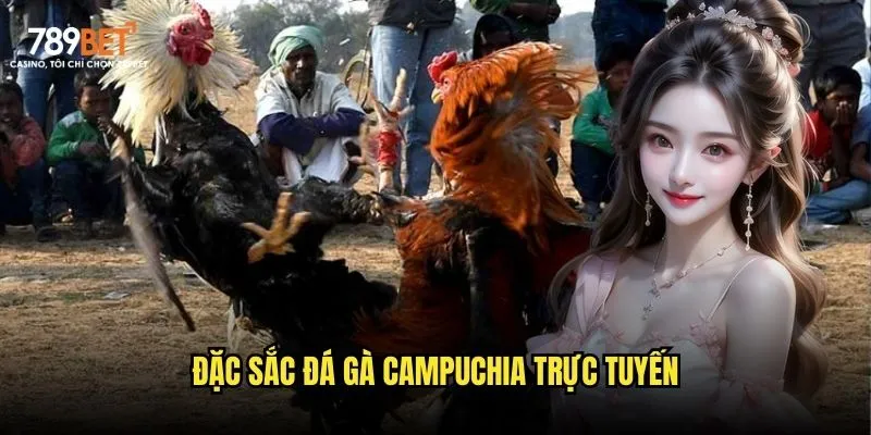 Đặc sắc đá gà Campuchia trực tuyến Đặc sắc đá gà Campuchia trực tuyến